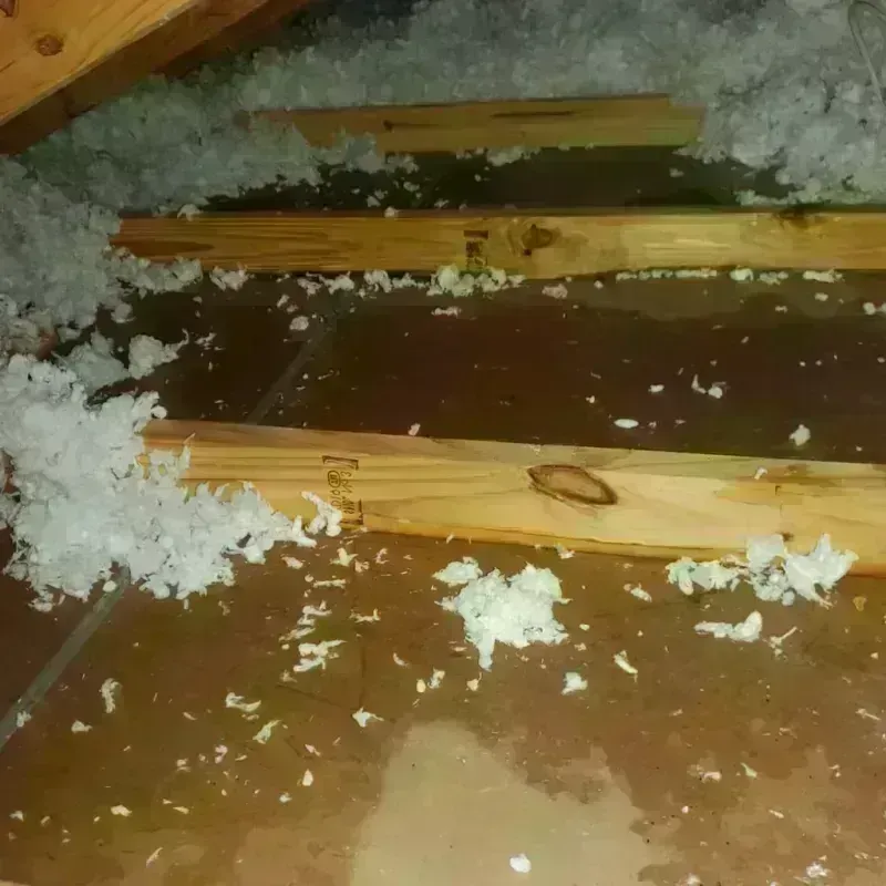 Attic Water Damage in Aspermont, TX