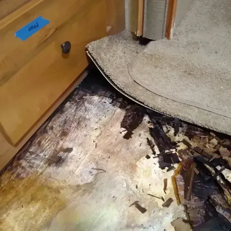 Wood Floor Water Damage in Aspermont, TX